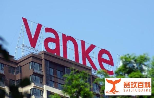 收购荣耀、入局恒大、挽救苏宁，深圳国资委再次拿100亿拯救万科