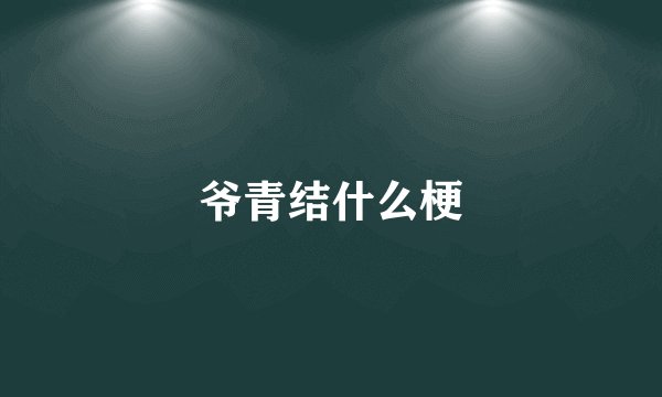 爷青结什么梗