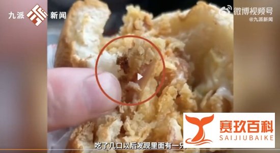 汉堡被吃出蟑螂，屡发食品卫生问题 华莱士“喷射机”真名不虚传