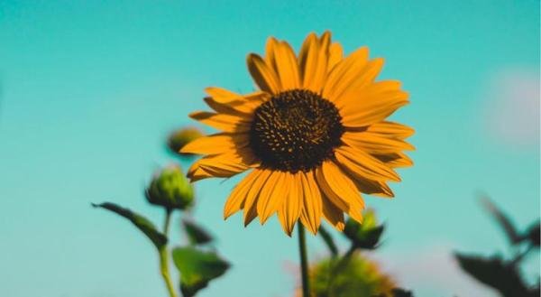 女子做洗碗工月薪1600引宝妈共鸣：全职妈妈，实在是太无奈了