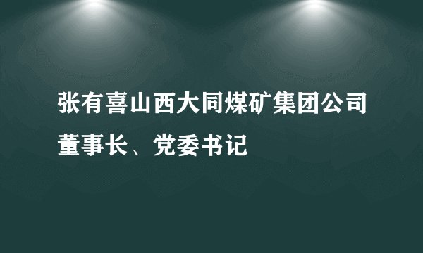 张有喜山西大同煤矿集团公司董事长、党委书记