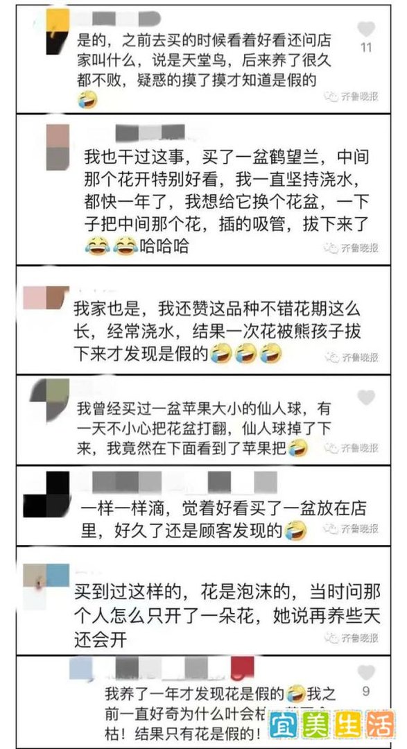 定闹钟浇水！女子养了半年的花，竟是…