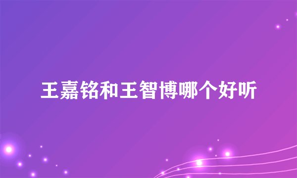 王嘉铭和王智博哪个好听