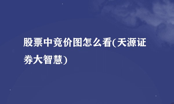 股票中竞价图怎么看(天源证券大智慧)
