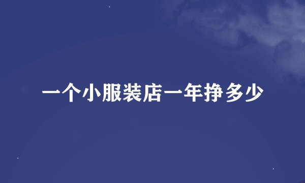 一个小服装店一年挣多少
