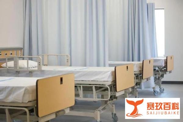 太励志!香港工地女工日赚2千,4年还清170万外债!