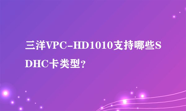 三洋VPC-HD1010支持哪些SDHC卡类型？