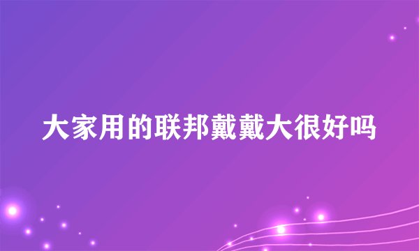 大家用的联邦戴戴大很好吗