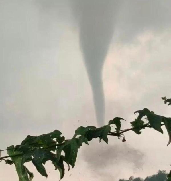 江苏现龙卷风有屋顶被掀翻