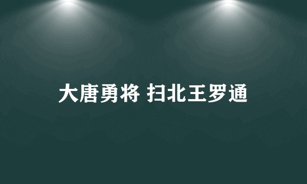 大唐勇将 扫北王罗通
