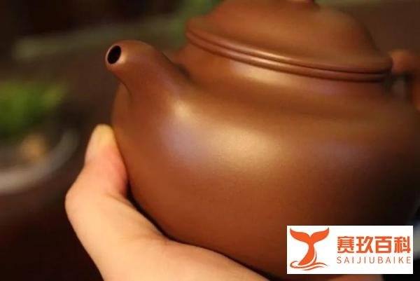 紫砂壶也有“门”——泥门