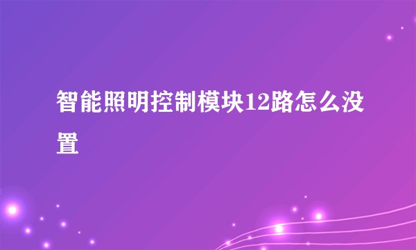 智能照明控制模块12路怎么没置