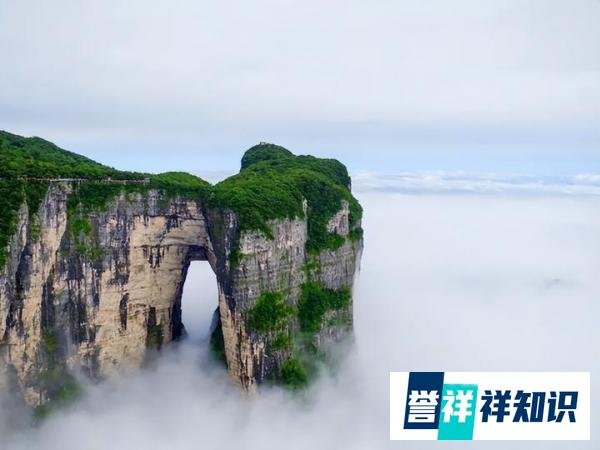 天门山一19岁游客坠亡？文旅局回应：有专班处理该事件！