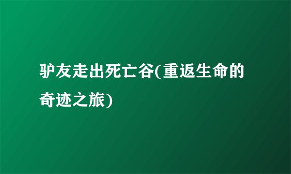 驴友走出死亡谷(重返生命的奇迹之旅)