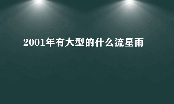 2001年有大型的什么流星雨