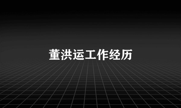 董洪运工作经历