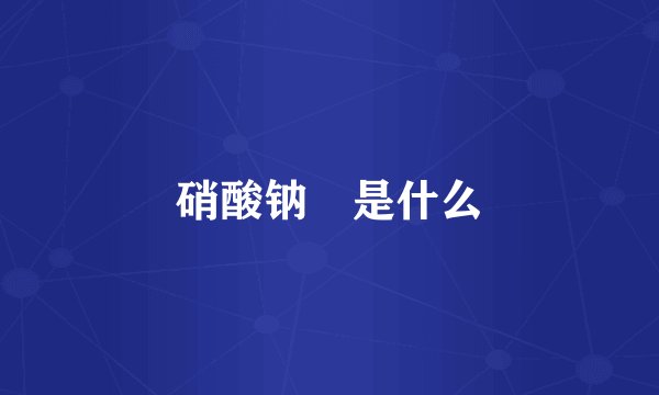 硝酸钠 是什么