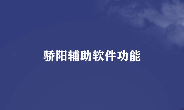 骄阳辅助软件功能