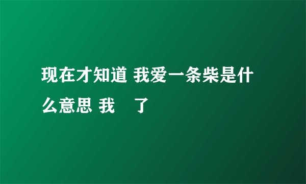 现在才知道 我爱一条柴是什么意思 我煋了