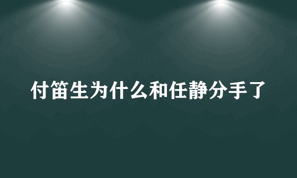付笛生为什么和任静分手了
