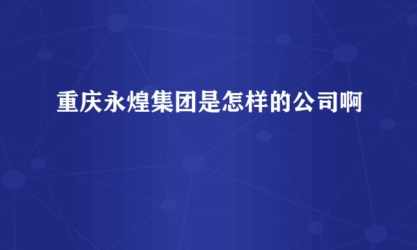 重庆永煌集团是怎样的公司啊