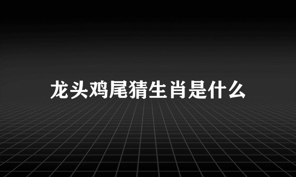 龙头鸡尾猜生肖是什么
