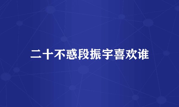 二十不惑段振宇喜欢谁
