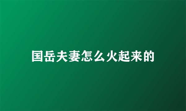 国岳夫妻怎么火起来的