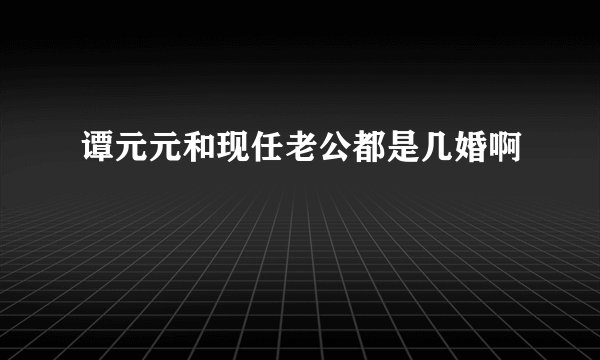 谭元元和现任老公都是几婚啊