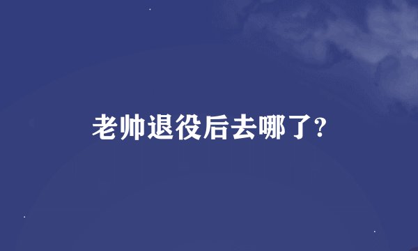 老帅退役后去哪了?