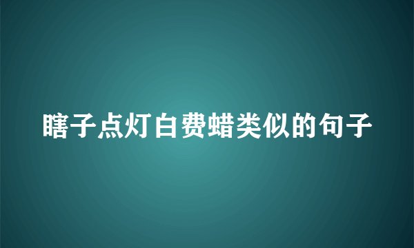 瞎子点灯白费蜡类似的句子