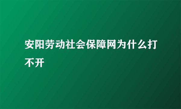 安阳劳动社会保障网为什么打不开