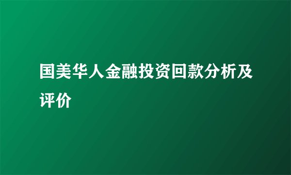 国美华人金融投资回款分析及评价
