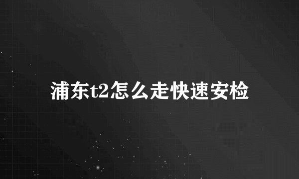 浦东t2怎么走快速安检