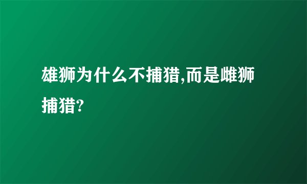 雄狮为什么不捕猎,而是雌狮捕猎?