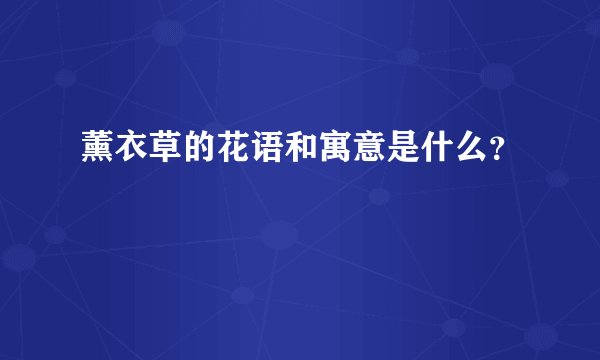 薰衣草的花语和寓意是什么？