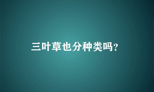 三叶草也分种类吗？