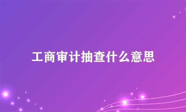 工商审计抽查什么意思