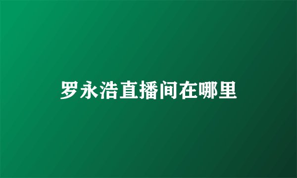 罗永浩直播间在哪里