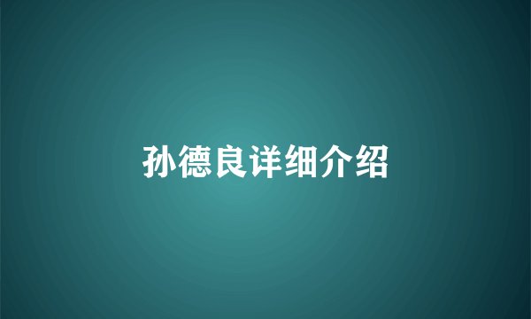 孙德良详细介绍