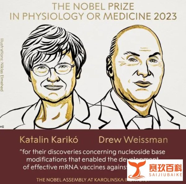重磅！2023首个诺贝尔奖揭晓