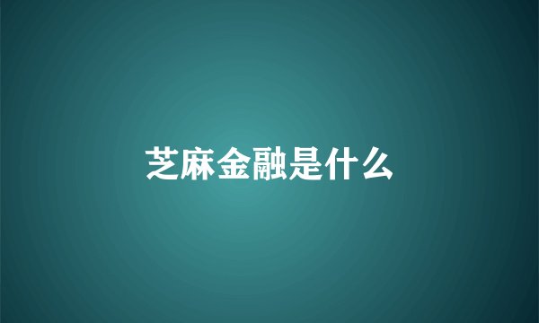 芝麻金融是什么