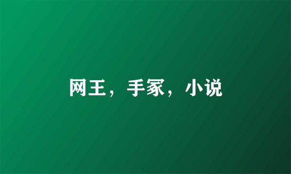 网王，手冢，小说