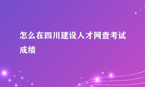 怎么在四川建设人才网查考试成绩