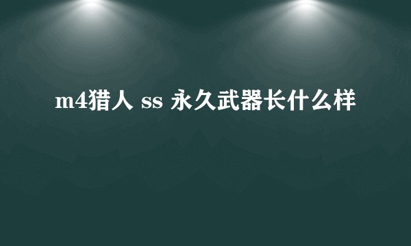 m4猎人 ss 永久武器长什么样