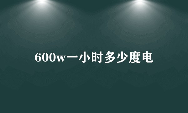 600w一小时多少度电