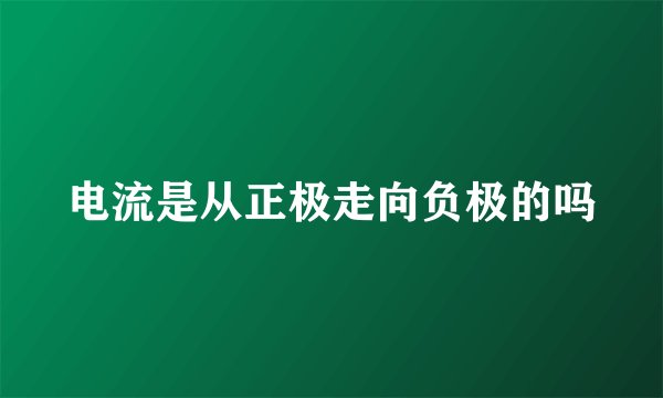 电流是从正极走向负极的吗