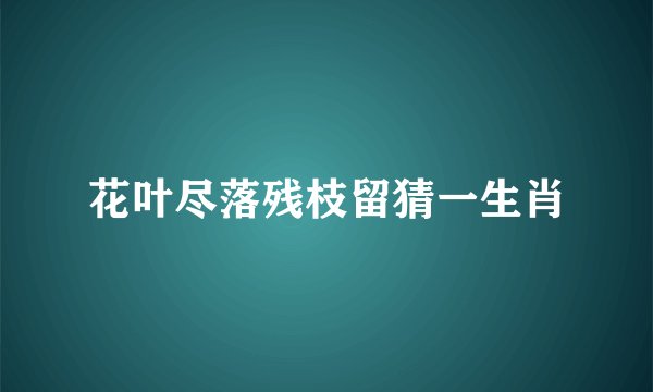 花叶尽落残枝留猜一生肖