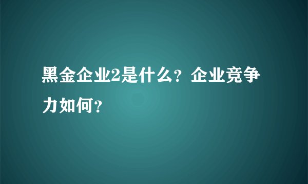 黑金企业2是什么？企业竞争力如何？