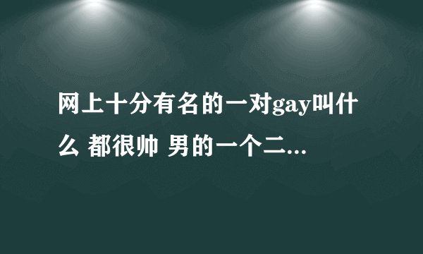 网上十分有名的一对gay叫什么 都很帅 男的一个二十多 一个才十八九岁
